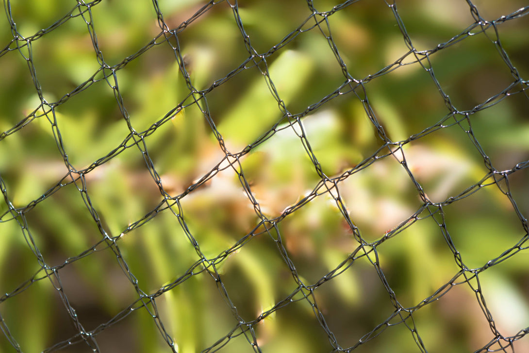 Haverford Bird Netting 42gsm / Black / 5m x 5m Wildlife Safe 5mm Diamond Bird Netting