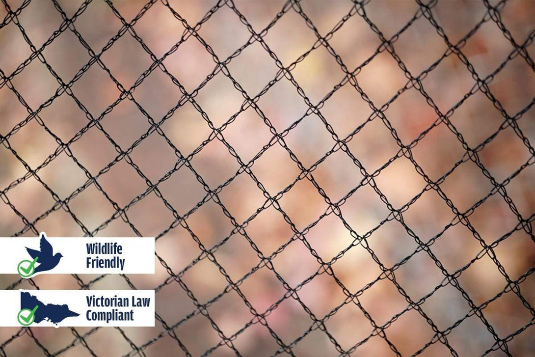 Haverford Bird Netting 55gsm / Black / 5m x 5m Wildlife Safe 5mm Diamond Bird Netting