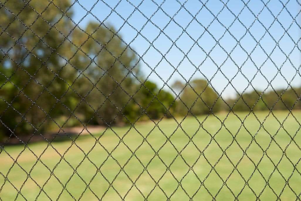 Quatra Bird Netting Black / 5m x 5m Diamond Mesh Bird Netting