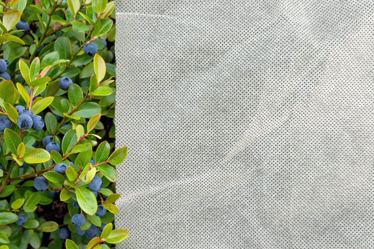 Haverford Plant Frost Protection Cover